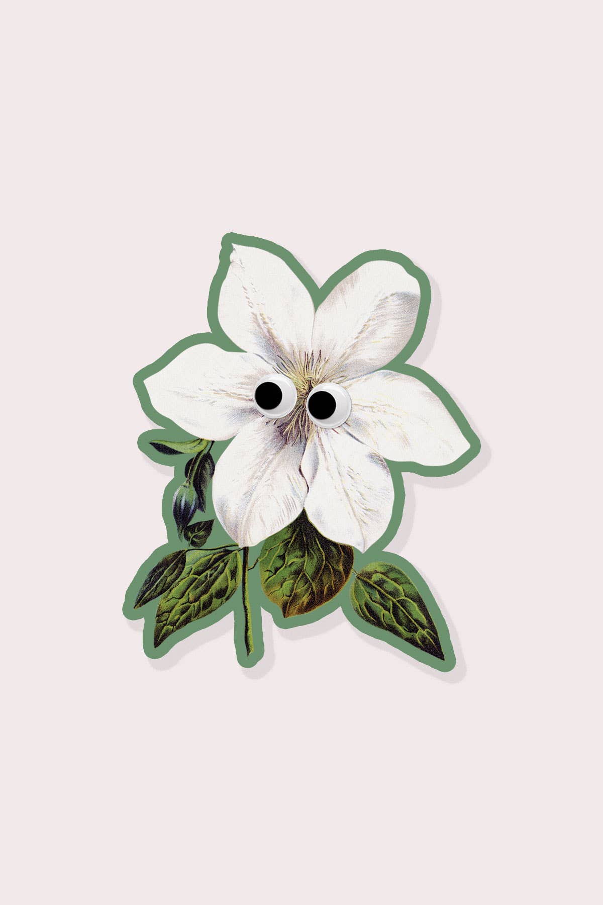 Googly Clematis Sticker