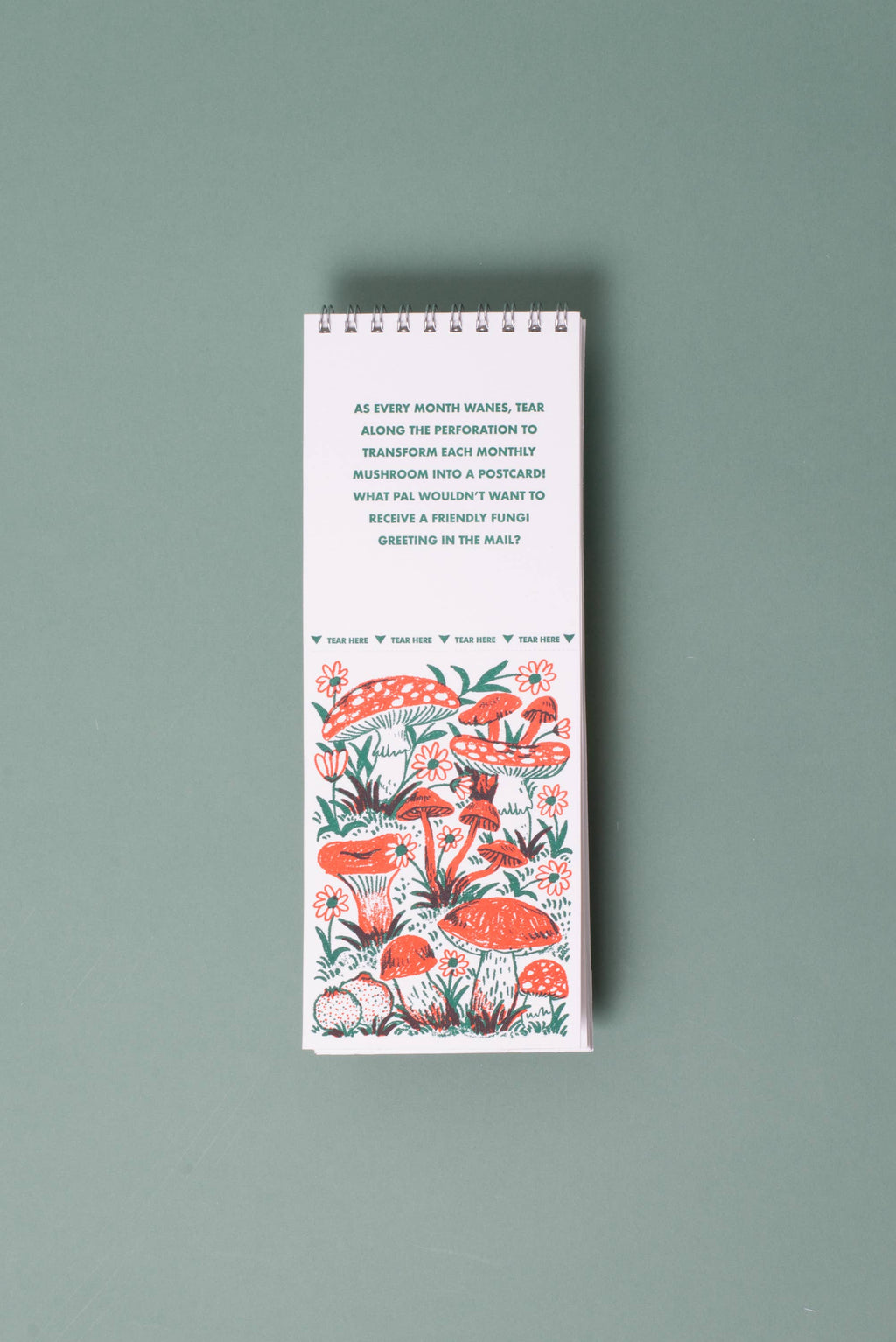 Gnomes & Mushrooms Postcard Wall Calendar