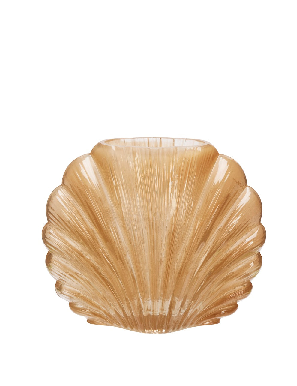 Pearly Shell Vase