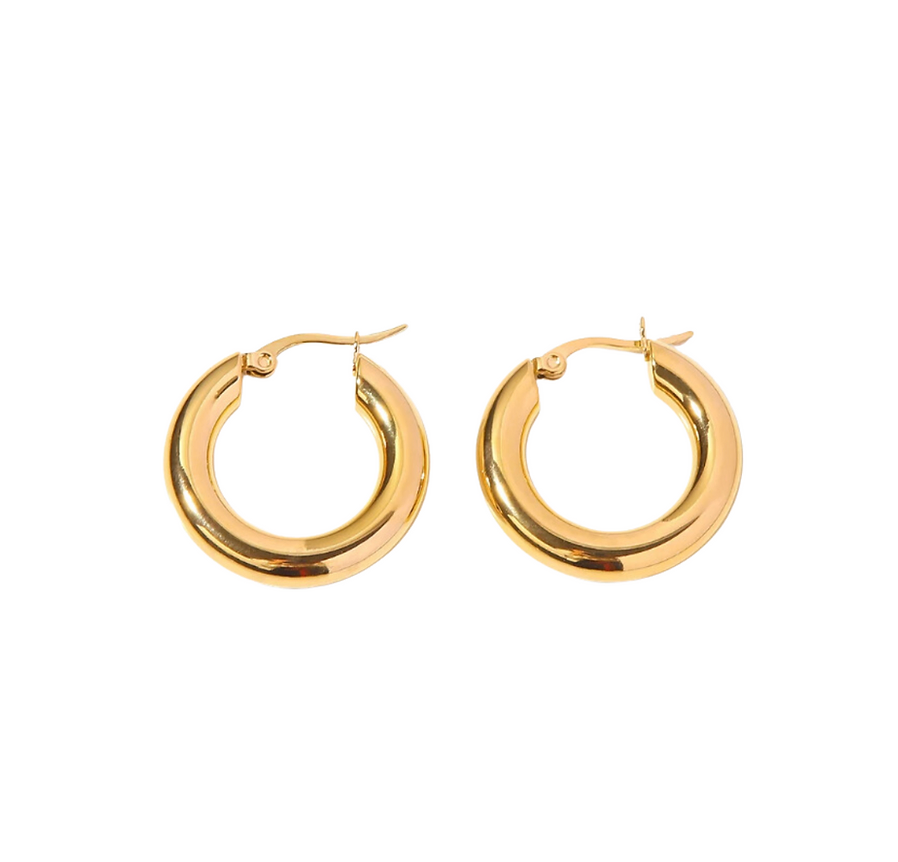 Everyday Hoops Earrings