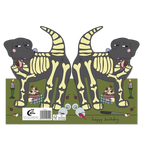 Hey Dog Skeleton Birthday card,