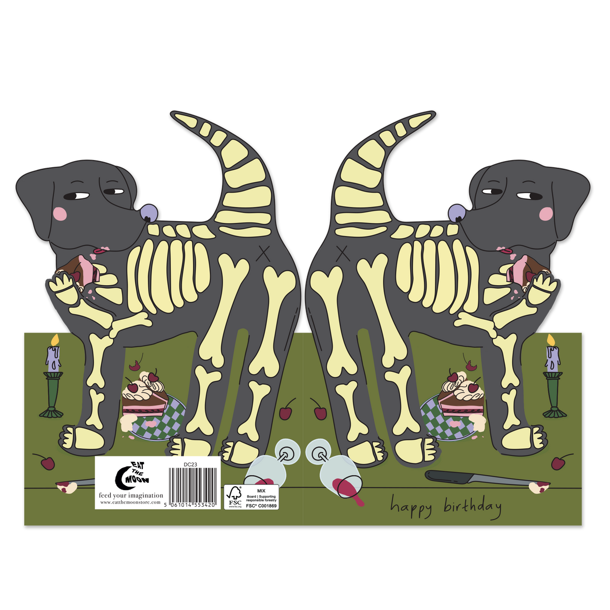 Hey Dog Skeleton Birthday card,