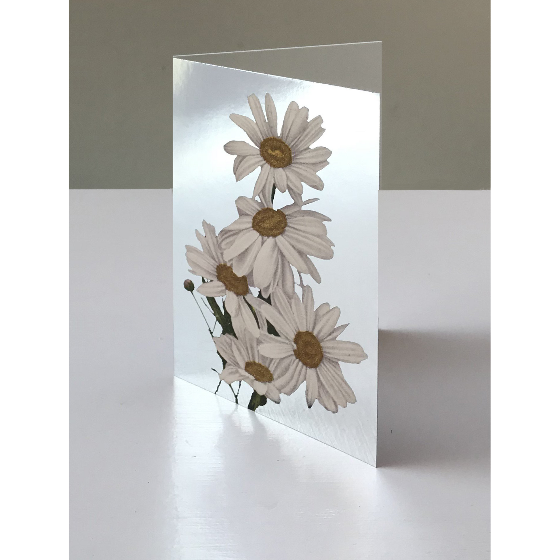 DAISIES GREETING CARD