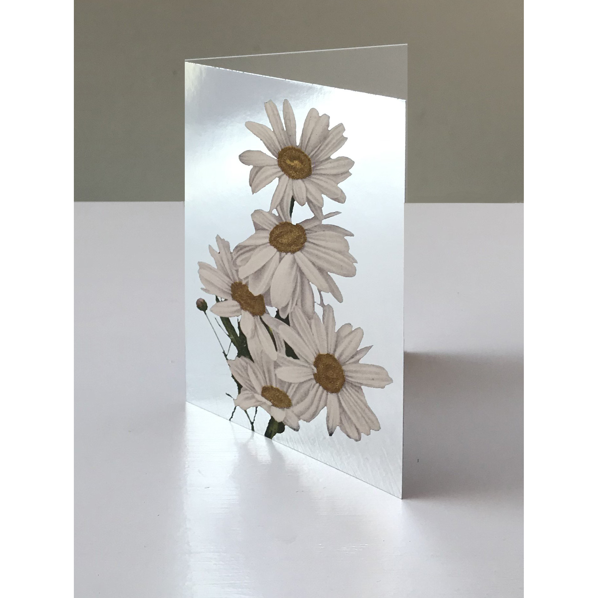 DAISIES GREETING CARD