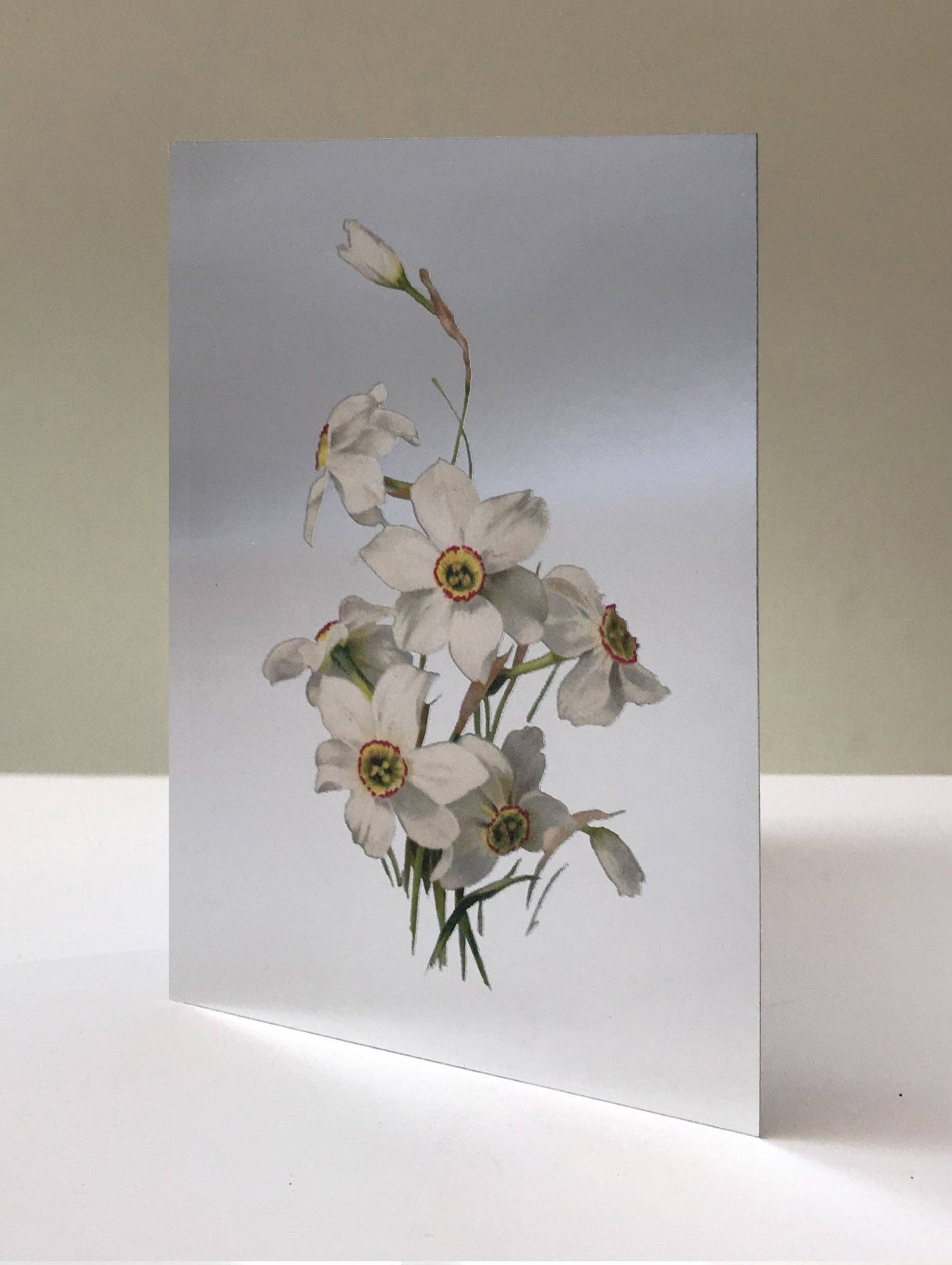 NARCISSUS GREETING CARD