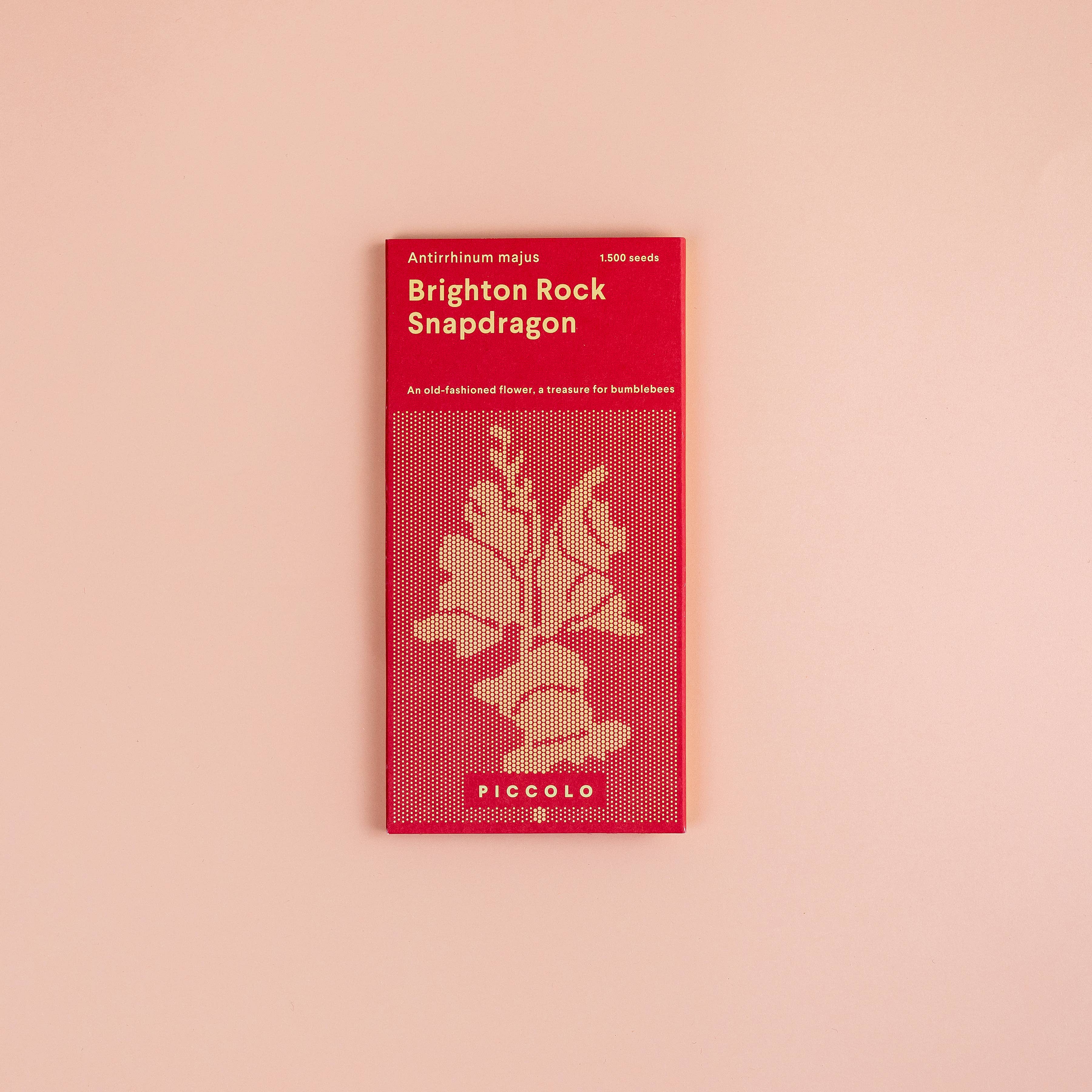 Snapdragon Brighton Rock