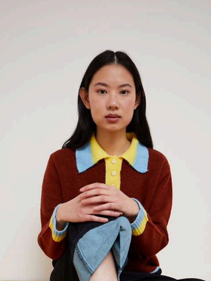 Brown Country  Sweater