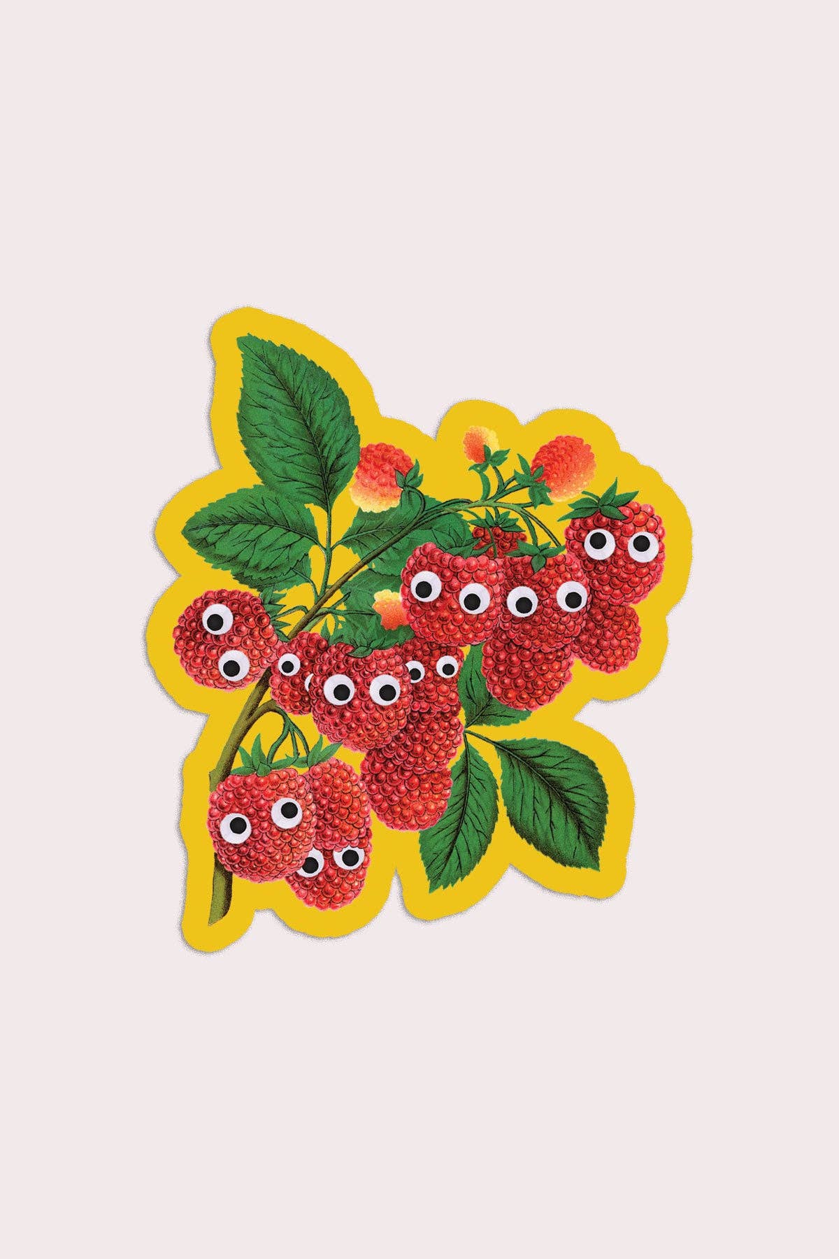 Googly Raspberries Sticker
