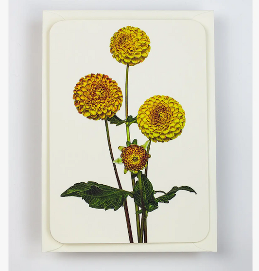 Dahlia Note Card