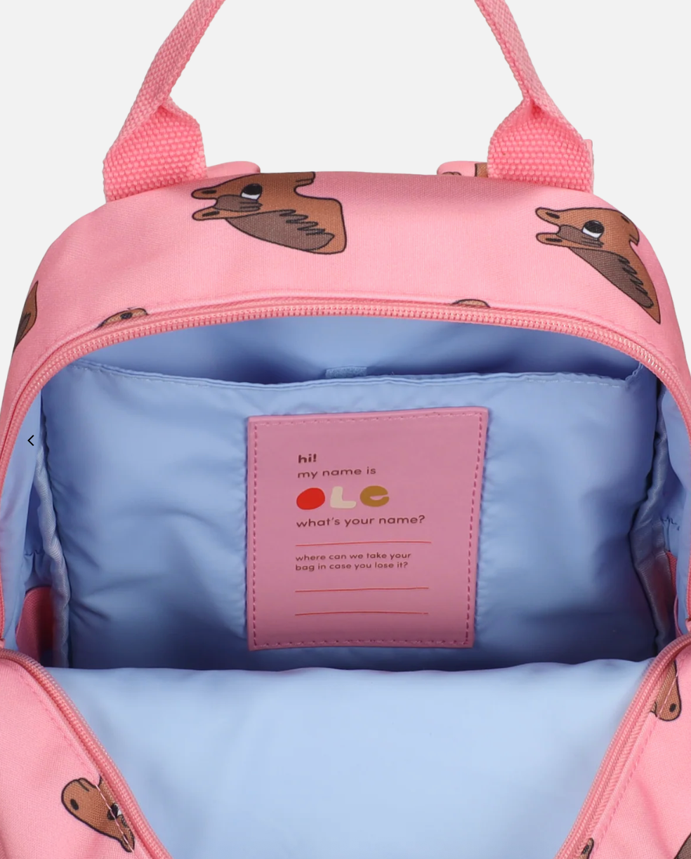 Pony Back Pack