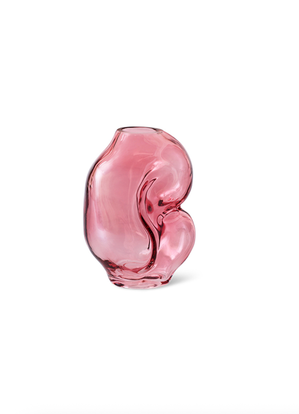 Small Gleam Rose Vase