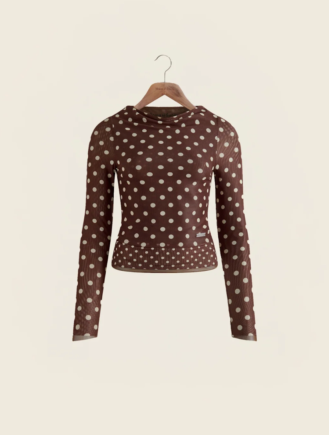 Polka  Dot Long Sleeve Mesh Top
