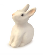 Rabbit Money Box